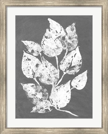 Framed Frosty Philodendron I Print
