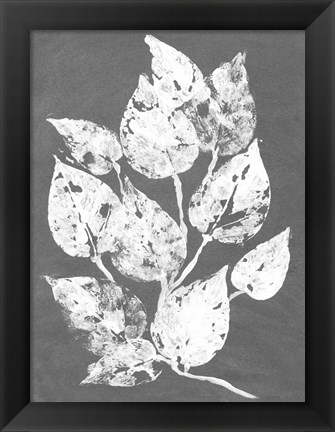 Framed Frosty Philodendron I Print