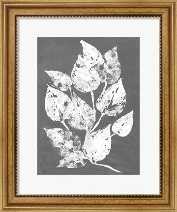Framed Frosty Philodendron I Print
