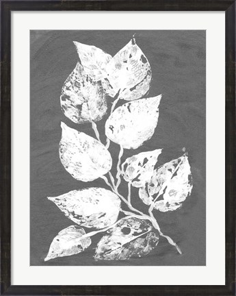 Framed Frosty Philodendron II Print