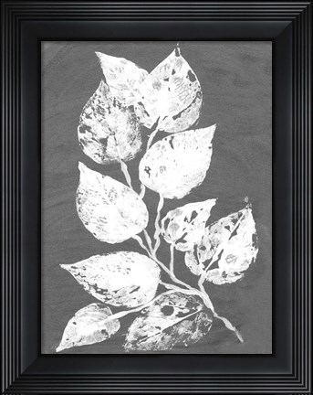 Framed Frosty Philodendron II Print