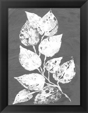 Framed Frosty Philodendron II Print