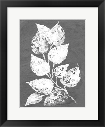 Framed Frosty Philodendron II Print