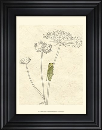 Framed Summer Chorus I Print