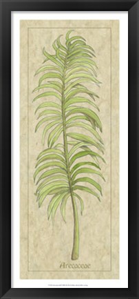 Framed Arecaceae Leaf Print