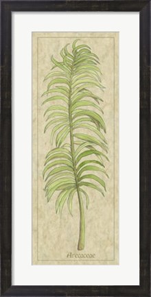 Framed Arecaceae Leaf Print