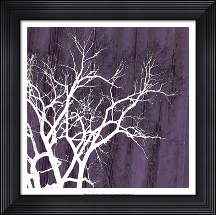 Framed Aurora Silhouette II Print