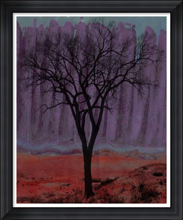 Framed Aurora I Print