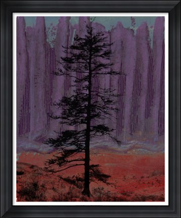 Framed Aurora II Print