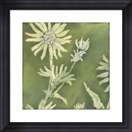 Framed Verdigris Blossoms I Print
