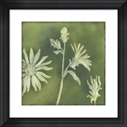 Framed Verdigris Blossoms II Print