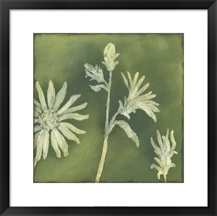 Framed Verdigris Blossoms II Print