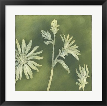 Framed Verdigris Blossoms II Print