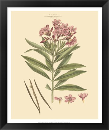Framed Blushing Pink Florals III Print