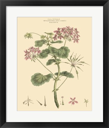 Framed Blushing Pink Florals IV Print