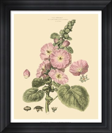 Framed Blushing Pink Florals V Print