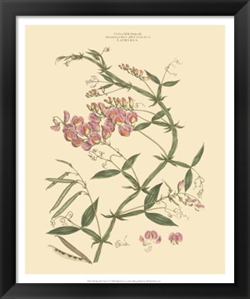 Framed Blushing Pink Florals VI Print