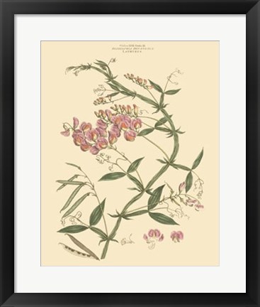 Framed Blushing Pink Florals VI Print