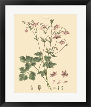 Framed Blushing Pink Florals IX Print