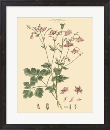 Framed Blushing Pink Florals IX Print