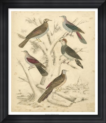Framed Avian Habitat I Print
