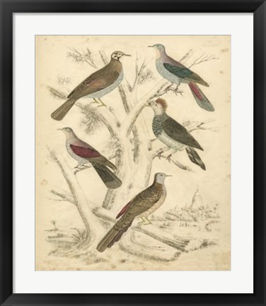 Framed Avian Habitat I Print