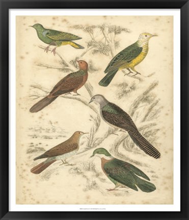 Framed Avian Habitat II Print