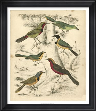 Framed Avian Habitat III Print