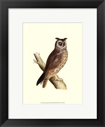 Framed Long Eared Owl Print
