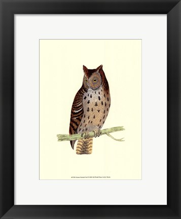 Framed Mottled Owl Print