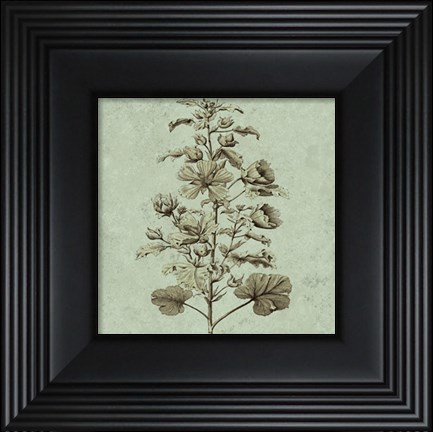 Framed Imperial Munting I Print