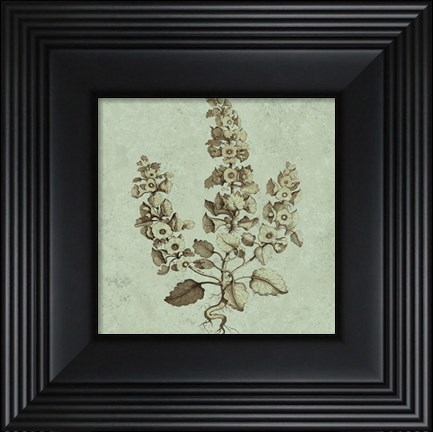 Framed Imperial Munting II Print