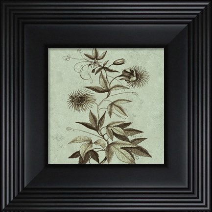 Framed Imperial Munting III Print