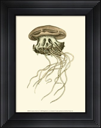 Framed Creatures of the Sea I Print