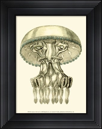 Framed Creatures of the Sea II Print