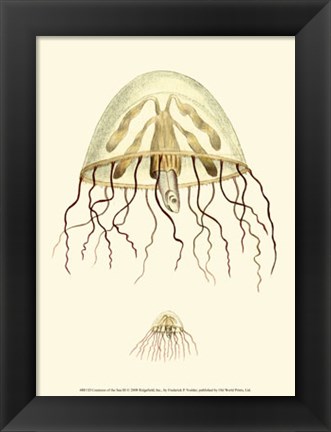 Framed Creatures of the Sea III Print