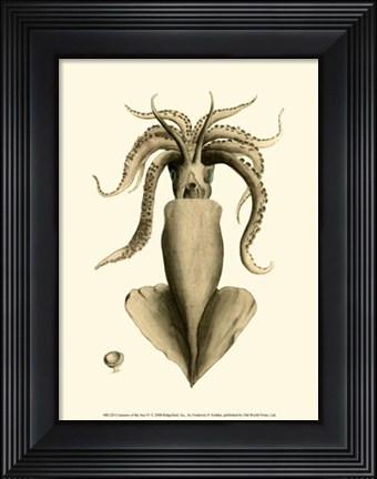 Framed Creatures of the Sea IV Print