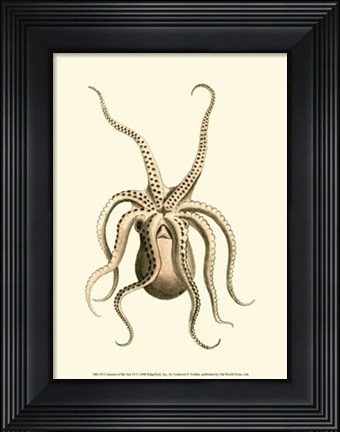 Framed Creatures of the Sea VI Print