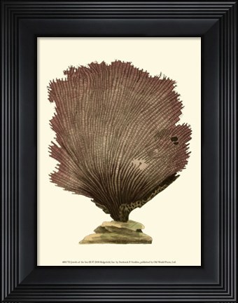 Framed Jewels of the Sea III Print