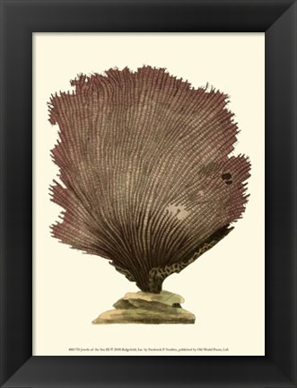 Framed Jewels of the Sea III Print