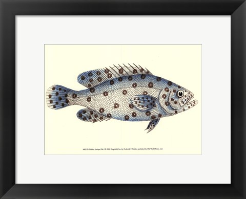 Framed Antique Fish I Print