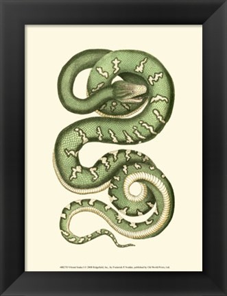 Framed Vibrant Snake I Print