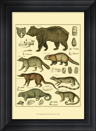 Framed Bear &amp; Racoon Print