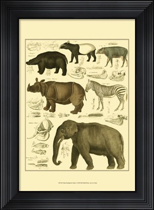Framed Elephant &amp; Zebra Print