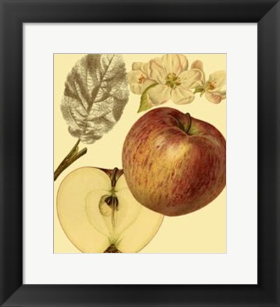 Framed Ripe for Harvest I Print