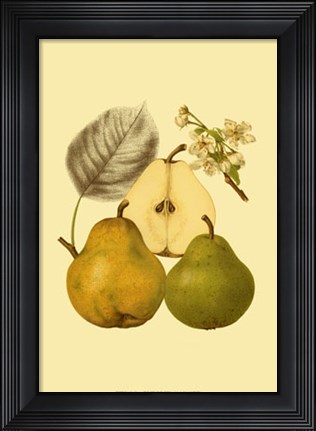 Framed Ripe for Harvest III Print