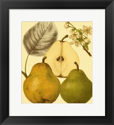Framed Ripe for Harvest III Print