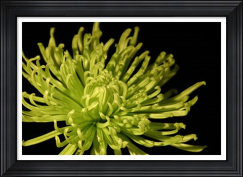 Framed Fuji Mum I Print