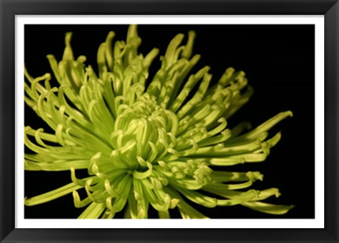 Framed Fuji Mum I Print