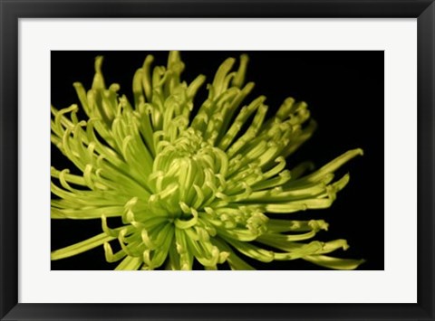 Framed Fuji Mum I Print